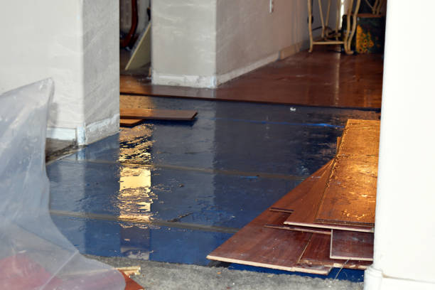 Professional Basement Flood Cleanup technician working in Thornton, PA